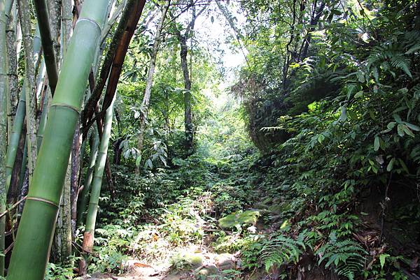 0328石牛山安東橋頭牛肉麵 (13).JPG 0328石牛山安東橋頭牛肉麵 (13).JPG