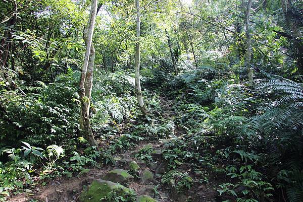 0328石牛山安東橋頭牛肉麵 (14).JPG 0328石牛山安東橋頭牛肉麵 (14).JPG