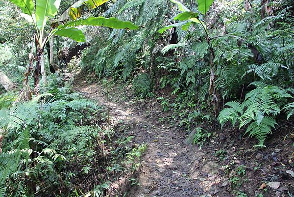 0328石牛山安東橋頭牛肉麵 (15).JPG 0328石牛山安東橋頭牛肉麵 (15).JPG