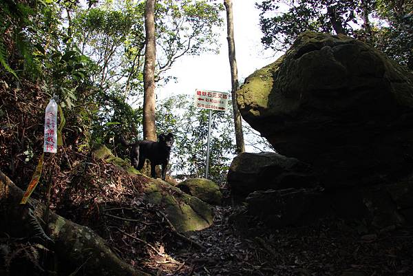 0328石牛山安東橋頭牛肉麵 (16).JPG 0328石牛山安東橋頭牛肉麵 (16).JPG