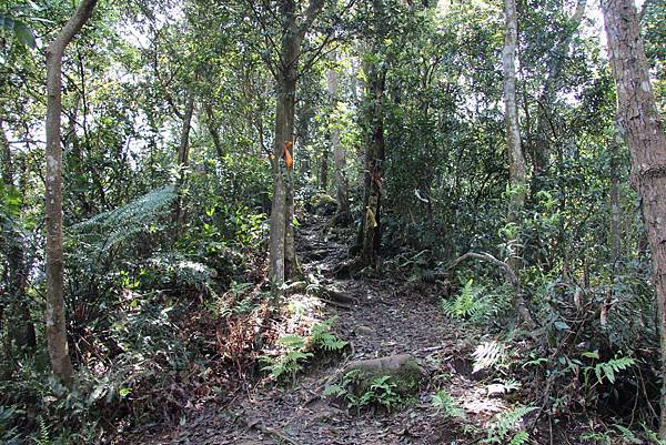 0328石牛山安東橋頭牛肉麵 (17).JPG 0328石牛山安東橋頭牛肉麵 (17).JPG