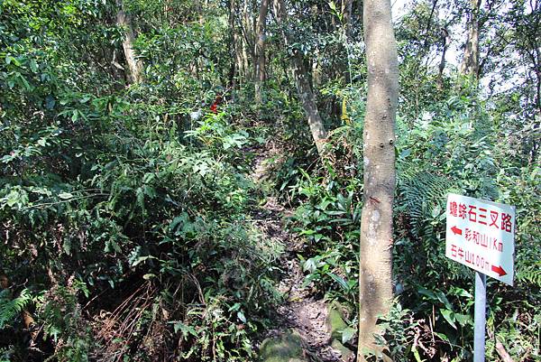 0328石牛山安東橋頭牛肉麵 (18).JPG 0328石牛山安東橋頭牛肉麵 (18).JPG