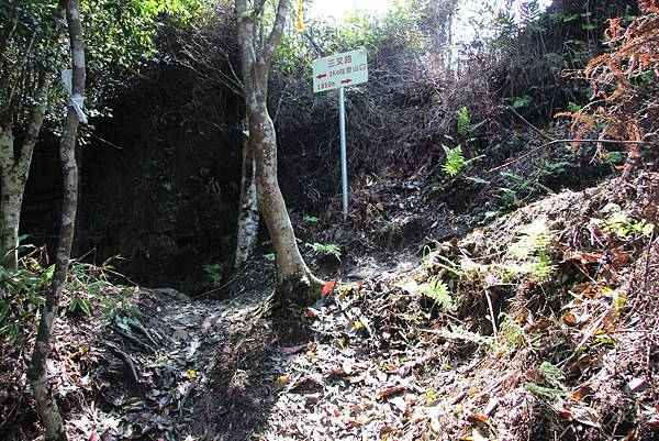 0328石牛山安東橋頭牛肉麵 (20).JPG 0328石牛山安東橋頭牛肉麵 (20).JPG