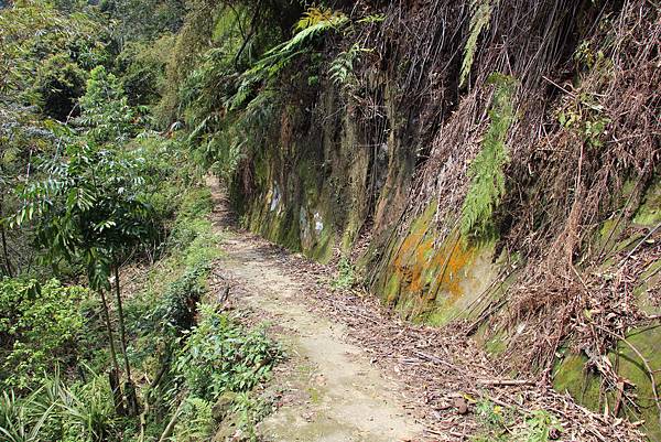 0328石牛山安東橋頭牛肉麵 (38).JPG 0328石牛山安東橋頭牛肉麵 (38).JPG
