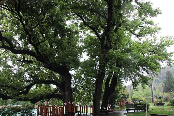 0411新埔文山步道 (65).JPG 0411新埔文山步道 (65).JPG