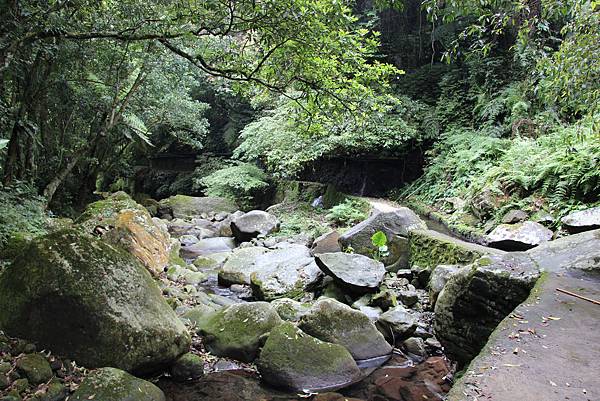 0425新圳頭山、坪頂古圳 (60).JPG 0425新圳頭山、坪頂古圳 (60).JPG