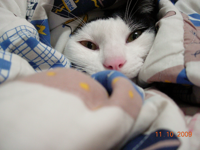 DSCN4127窩被被-2.jpg DSCN4127窩被被-2.jpg