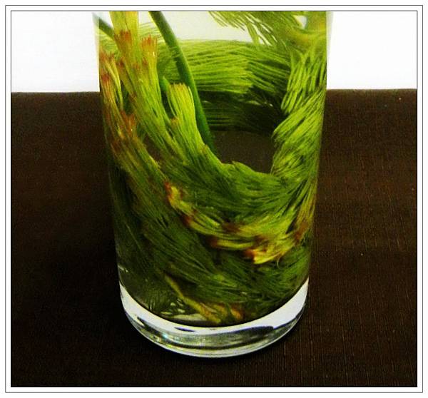 1030313玻璃水影1