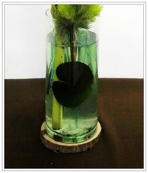 1030313玻璃水影3