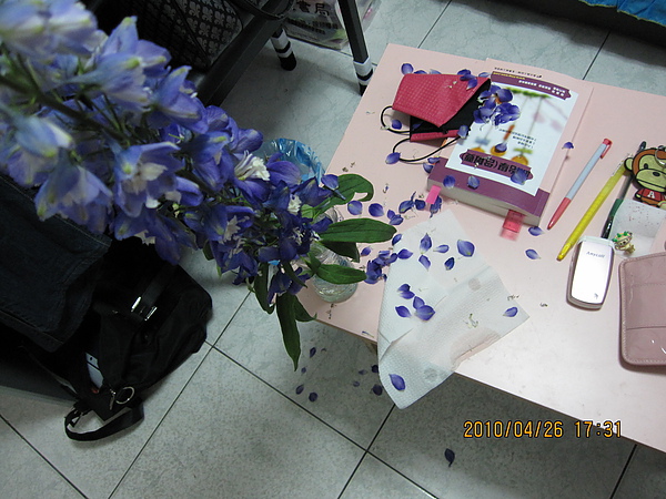 IMG_0986.JPG IMG_0986.JPG