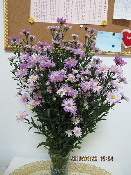 IMG_0989.JPG IMG_0989.JPG