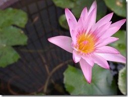 20110913 148