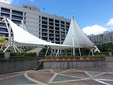 照片 - 20130828東花談話處 (4) 照片 - 20130828東花談話處 (4)