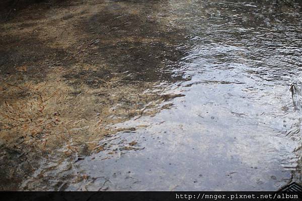 IMG_0166.jpg IMG_0166.jpg