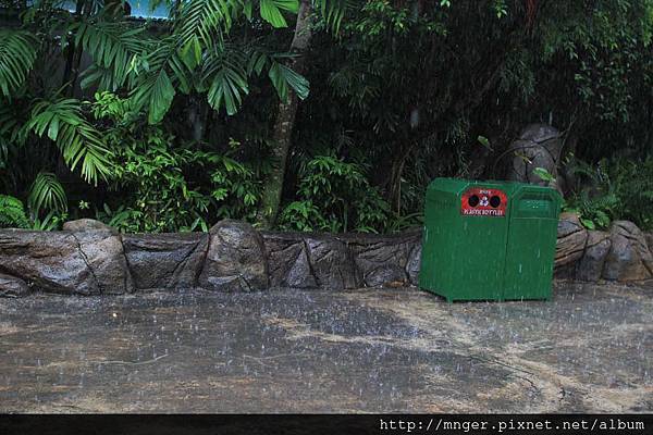 IMG_0170.jpg IMG_0170.jpg