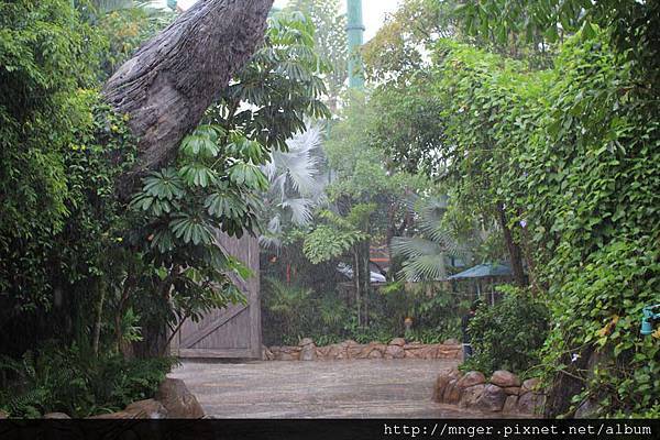 IMG_0171.jpg IMG_0171.jpg