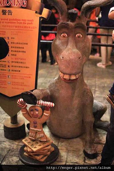 IMG_0193.jpg IMG_0193.jpg