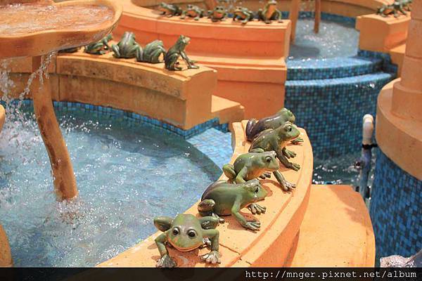 IMG_0308.jpg IMG_0308.jpg