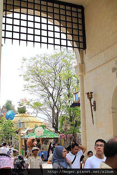 IMG_0326.jpg IMG_0326.jpg