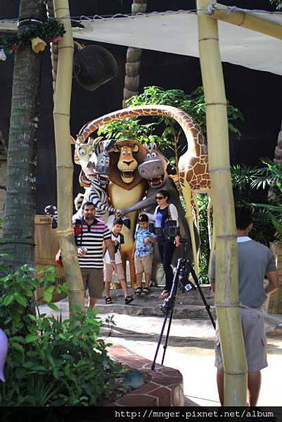 IMG_0383.jpg IMG_0383.jpg