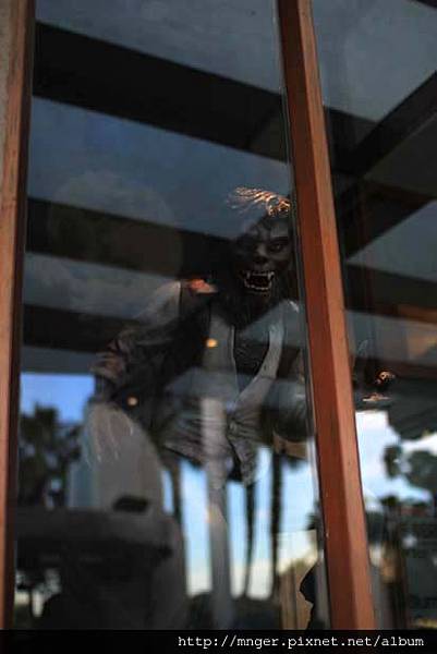 IMG_0667.jpg IMG_0667.jpg