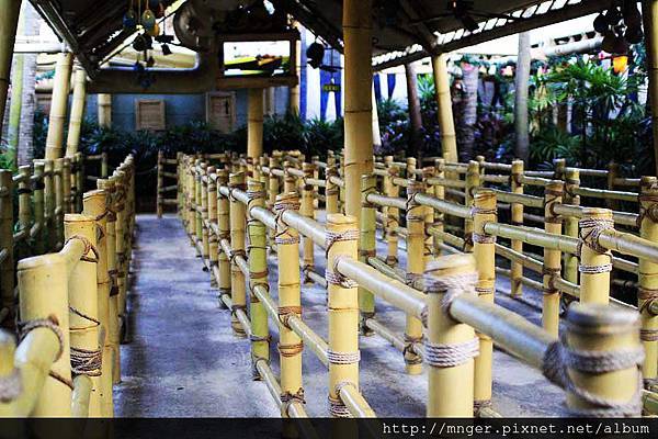 IMG_0679.jpg IMG_0679.jpg