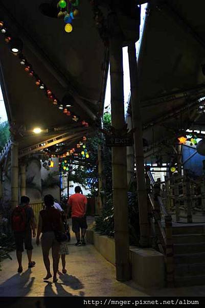 IMG_0684.jpg IMG_0684.jpg