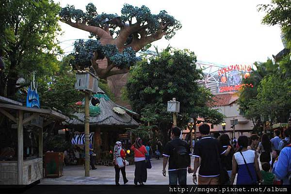 IMG_0697.jpg IMG_0697.jpg