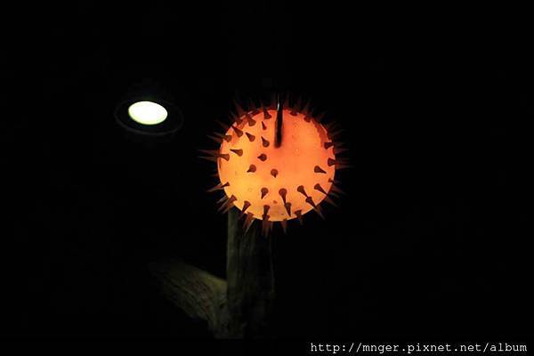 IMG_0699.jpg IMG_0699.jpg