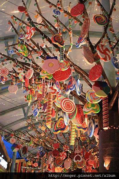 IMG_0779.jpg IMG_0779.jpg