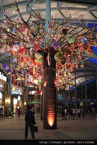 IMG_0782.jpg IMG_0782.jpg