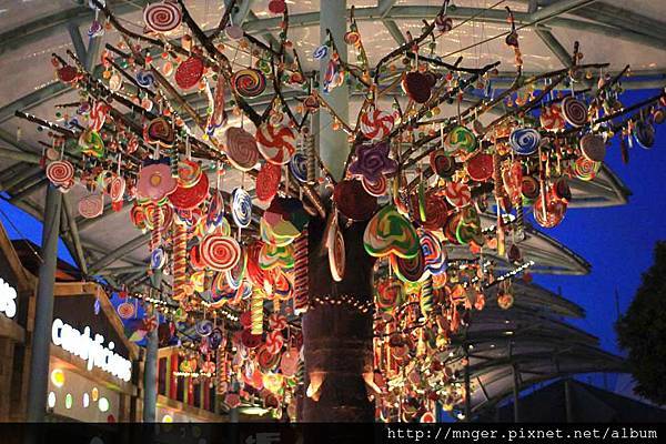 IMG_0783.jpg IMG_0783.jpg