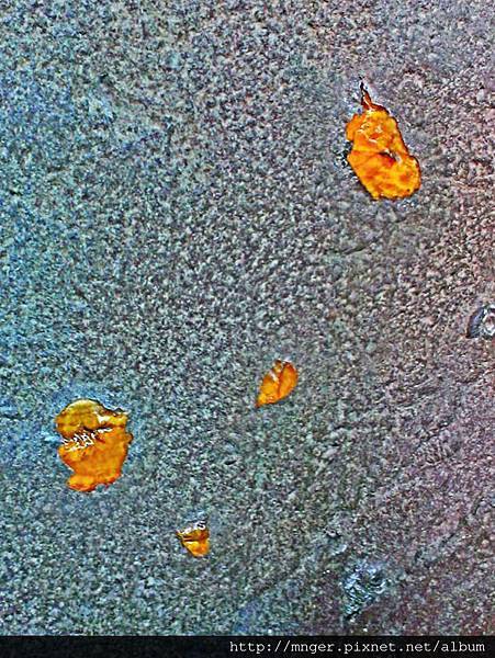 C360_2014-05-31-16-06-32-345.jpg C360_2014-05-31-16-06-32-345.jpg