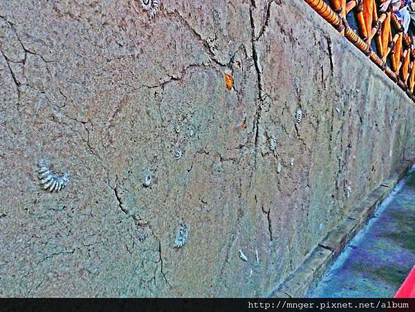 C360_2014-05-31-15-39-52-875.jpg C360_2014-05-31-15-39-52-875.jpg