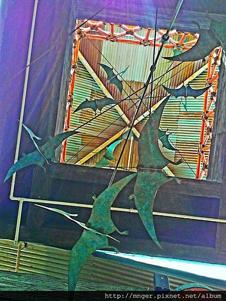 C360_2014-05-31-15-38-42-982.jpg C360_2014-05-31-15-38-42-982.jpg