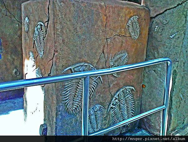 C360_2014-05-31-15-37-02-800.jpg C360_2014-05-31-15-37-02-800.jpg