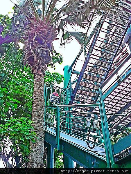 C360_2014-05-31-15-23-55-419.jpg C360_2014-05-31-15-23-55-419.jpg