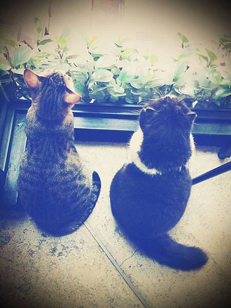 照片21.JPG 照片21.JPG