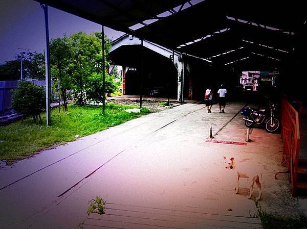 照片42.JPG 照片42.JPG