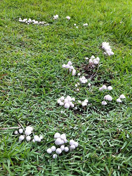 照片61.JPG 照片61.JPG