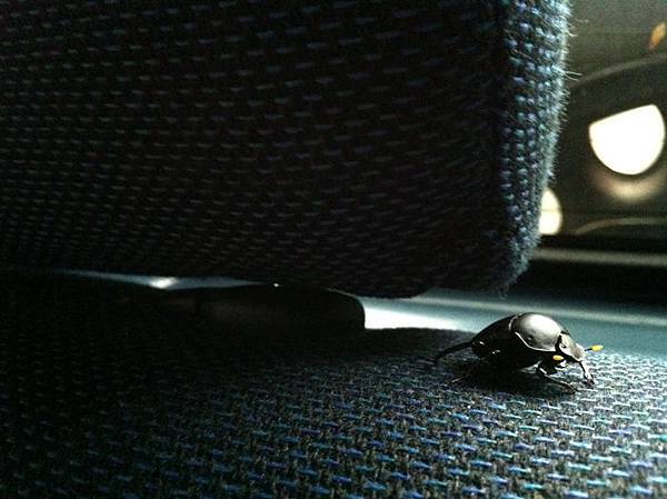 照片63.JPG 照片63.JPG