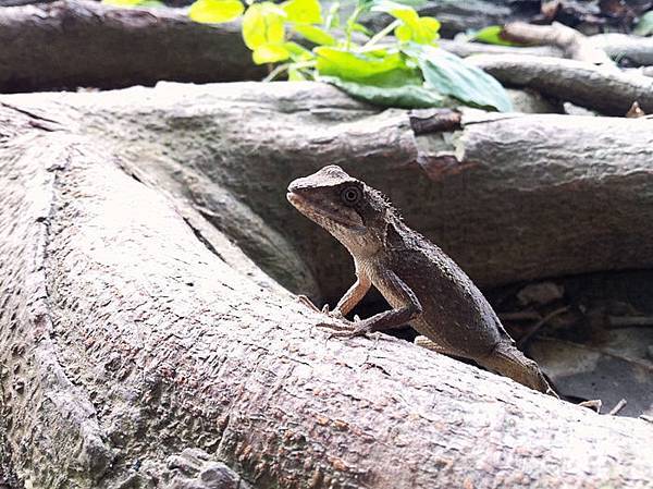 照片83.JPG 照片83.JPG