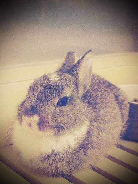 照片16.JPG 照片16.JPG