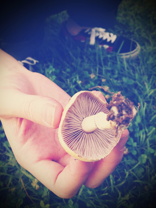 照片4.JPG 照片4.JPG