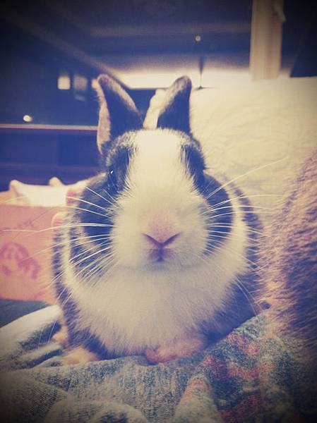 照片17.JPG 照片17.JPG