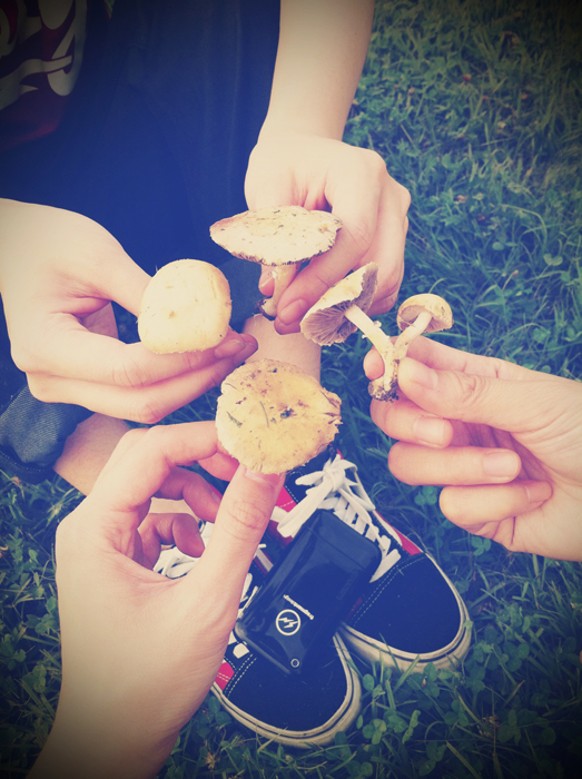 照片5.JPG 照片5.JPG