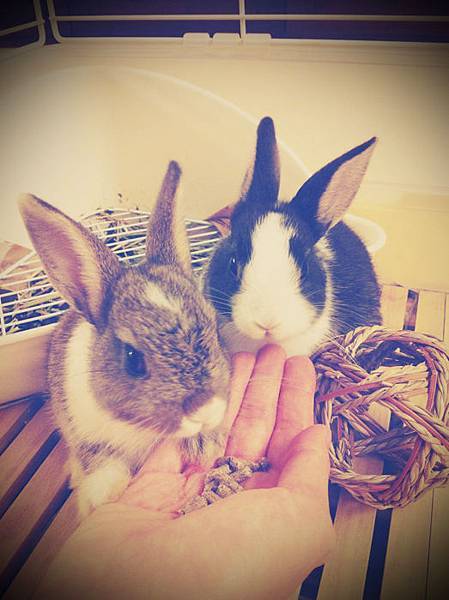 照片14.JPG 照片14.JPG