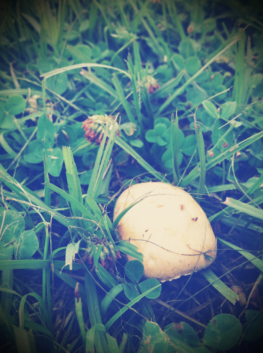 照片13.JPG 照片13.JPG