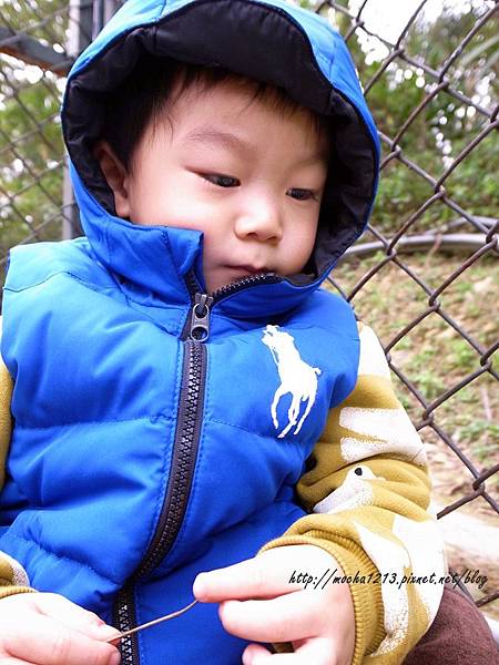 R1177727.JPG R1177727.JPG