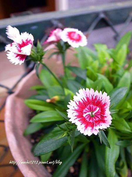 R1177722.JPG R1177722.JPG